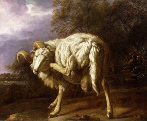 Un Ariete in un Paesaggio Boschivo da Jan Baptist Weenix