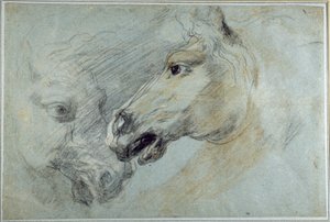 Due studi della testa di un cavallo da Jan Boeckhorst