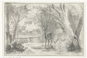 Paesaggio di parco con cervo da Jan Bos Wz.