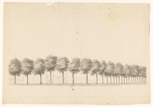 Viale alberato a Batavia da Jan Brandes