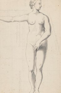 Studi di nudo femminile e maschile