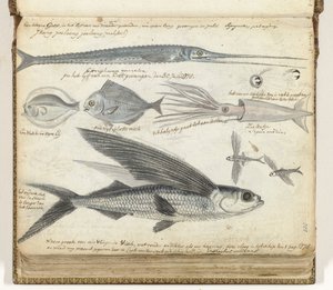 Pesca in mare da Jan Brandes