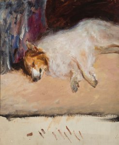 Studio di un cane addormentato per il "Ritratto del principe Golitsyn" da Jan Ciągliński