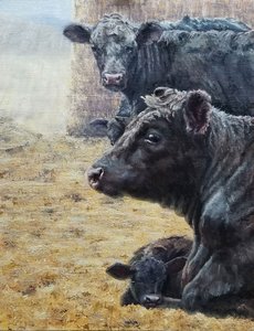 La famiglia Black Cattle
