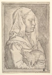 Ragazza con un gatto, 1546