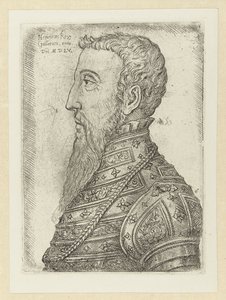 Ritratto di Enrico II da Jan Cornelisz Vermeyen