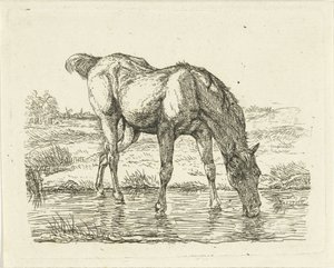 Cavallo che beve da Jan Dasveldt