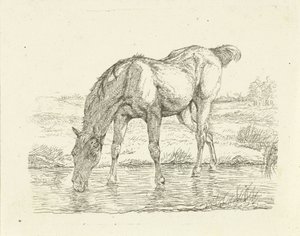 Cavallo che beve da Jan Dasveldt