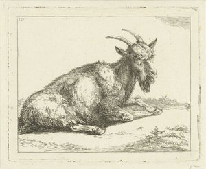 Capra da Jan Dasveldt