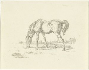 Cavallo al pascolo verso destra da Jan Dasveldt