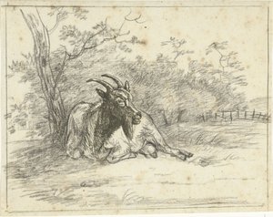 Capra sdraiata da Jan Dasveldt