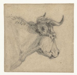 Testa di bovino da Jan Dasveldt