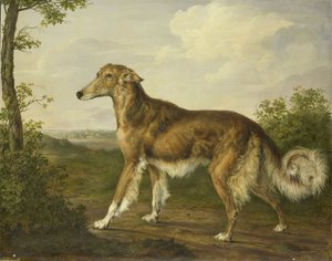 Levriero siberiano, 1825 circa (olio su tela) da Jan Dasveldt