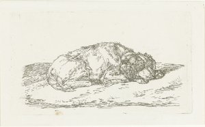 Cane che dorme con la testa appoggiata sulle zampe anteriori da Jan Dasveldt