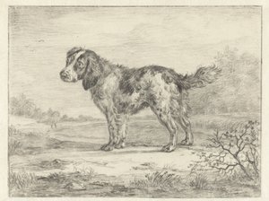 Spaniel in piedi in un paesaggio