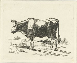 Mucca in piedi da Jan Dasveldt