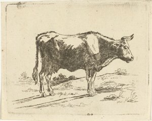 Mucca in piedi da Jan Dasveldt