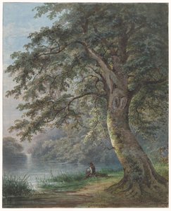Pescatore sotto un grande albero vicino a uno stagno da Jan David Geerling Grootveld