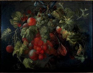 Olandese: Festone di frutta
