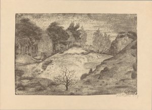 Brughiera a Laren da Jan Fekkes (signed by artist)