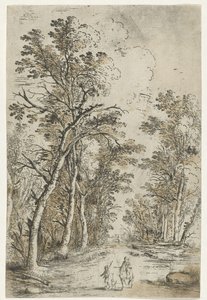 Sentiero nel bosco da Jan Fouceel