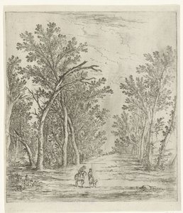 Sentiero nel bosco da Jan Fouceel