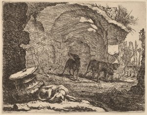 Quattro cani, uno che dorme accanto a un capitello da Jan Fyt