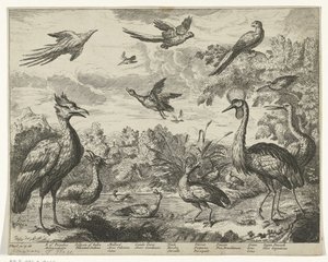 Diversi uccelli in un paesaggio da Jan Griffier (I) (copy after)