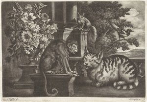 Scimmia, gatto, scoiattolo e gazza da Jan Griffier (I)