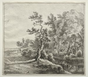 La strada della Serpentina da Jan Hackaert