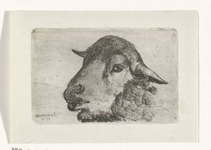 Testa di pecora da Jan Heppener