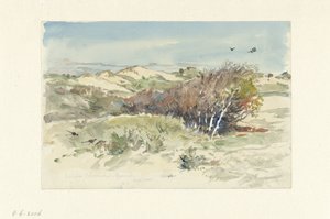 Paesaggio dunale tra Bloemendaal e IJmuiden