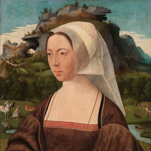 Ritratto di una donna sconosciuta da Jan Jansz Mostaert
