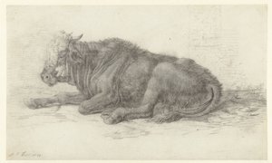 Mucca sdraiata da Jan Joost van Cossiau