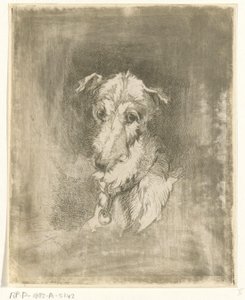 Testa di levriero da Jan Karel Jacob de Jonge
