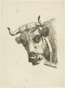 Testa di mucca