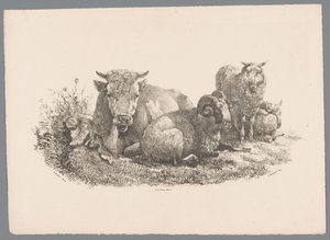 Mucca, ariete e due pecore (serie Studi di animali di J. Kobell da Paul Potter Nr. 1) da Jan Kobell (III)