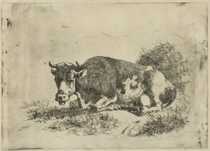 Mucca sdraiata da Jan Kobell (III)