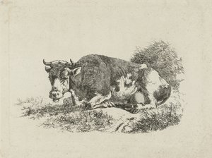 Mucca sdraiata da Jan Kobell (III)