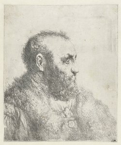 Busto di un vecchio con cappotto di pelliccia da Jan Lievens
