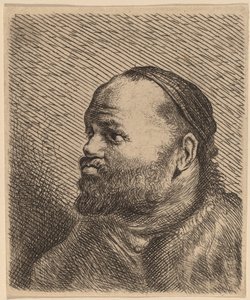 Busto di un uomo con labbra spesse da Jan Lievens
