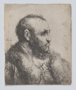 Busto di un vecchio con colletto di pelliccia da Jan Lievens