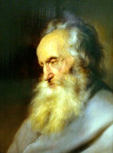 Busto di un uomo anziano da Jan Lievens