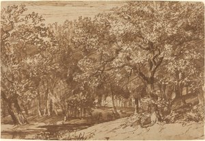 Parco dei cervi
