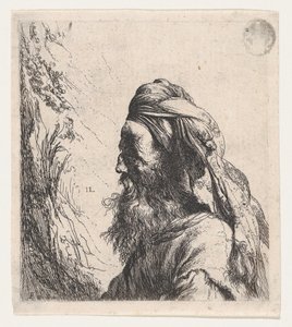 Uomo con turbante rivolto a sinistra da Jan Lievens