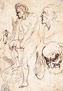 Studi dopo il Modello da Jan Lievens