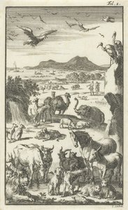 La creazione da Jan Luyken