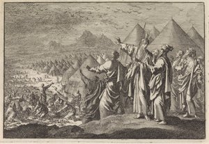 Quaglie nel deserto da Jan Luyken