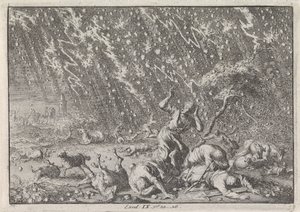 Piaga della grandine e del temporale da Jan Luyken