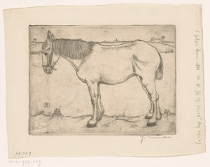 Cavallo da Jan Mankes (signed by artist)